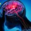 Neuro Thrive Review: Does This Brain Support Formula Really Work?