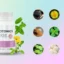 PrimeBiome Review: Gut Health Supplement Really Work?